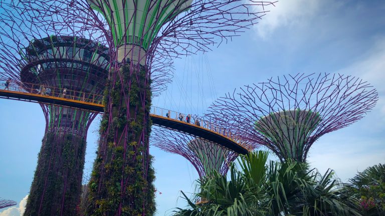 Singapour : la ville futuriste