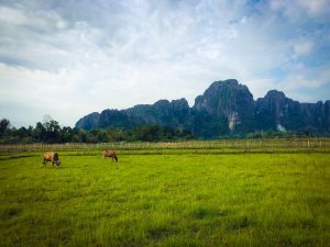 Visite Vang Vieng au Laos
